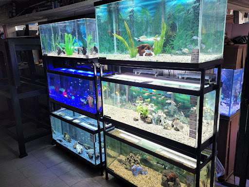 Pet Store «Valley Pets», reviews and photos, 6380 US-85, Fountain, CO 80817, USA