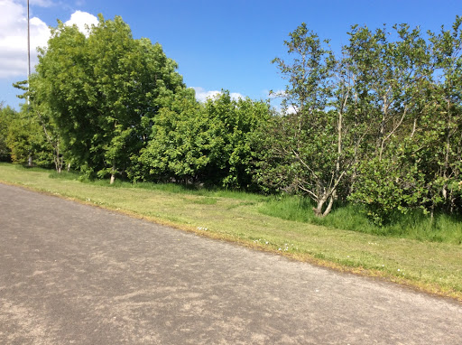 Henry Jones Playing Fields