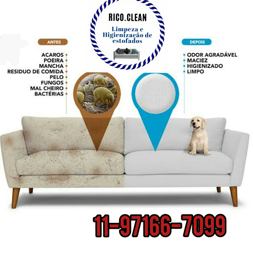 Logo da empresa - Rico Clean