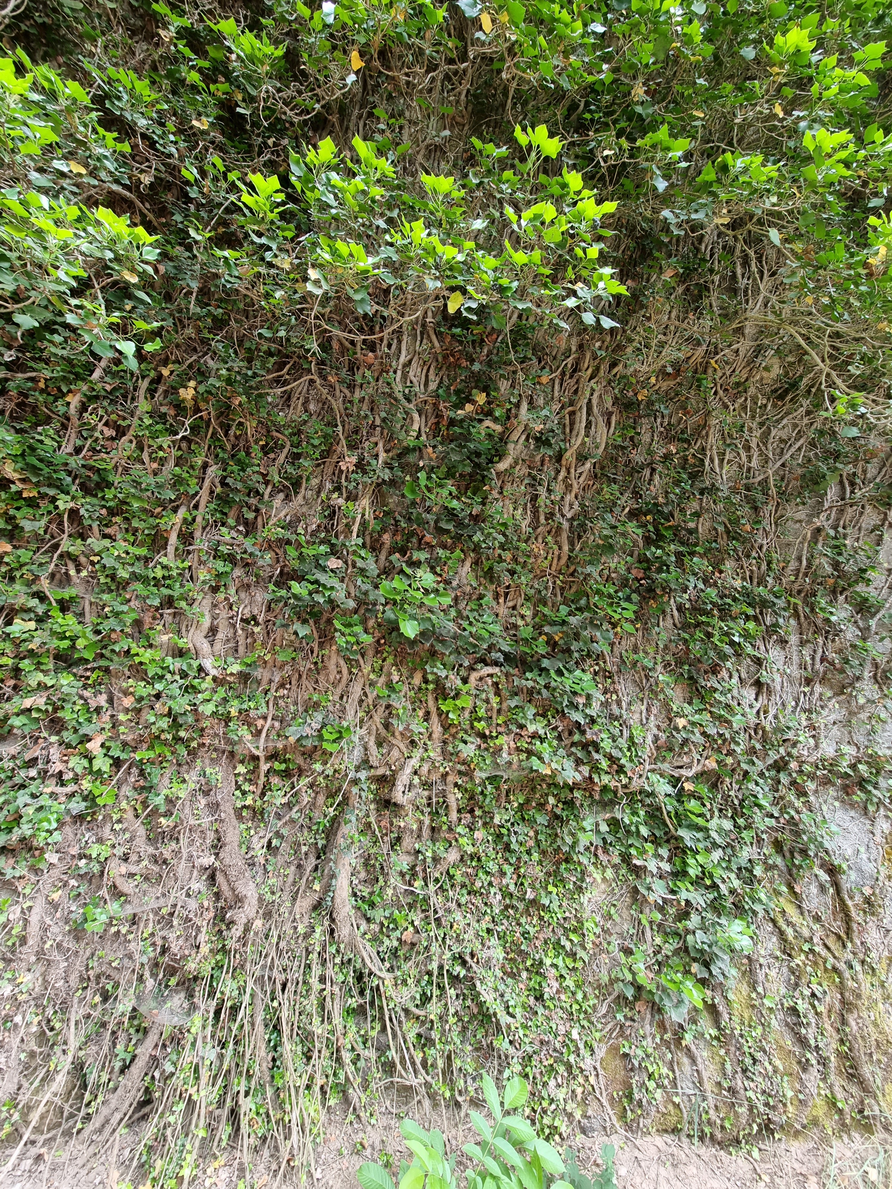Photo n° 11 de l'avis de Laetitia.a fait le 12/06/2022 à 21:27
