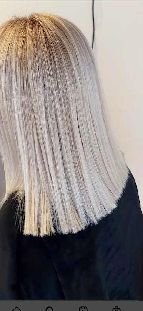 Dina's Great Cuts 60534