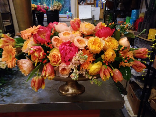 Florist «Alamo Plants & Petals», reviews and photos, 119 W Sunset Rd, San Antonio, TX 78209, USA