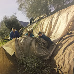 Photo n°5 de l'avis de IGOR.T fait le 07/06/2017 à 11:01 sur le  Agritur Madonna delle Vittorie à Linfano