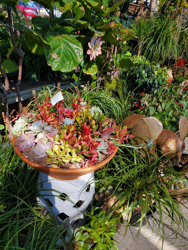 Florist «Plant Safari», reviews and photos, 653 N Central Ave, Upland, CA 91786, USA