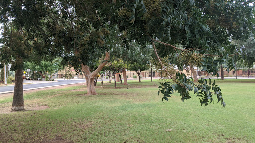 Park «Pierce Park», reviews and photos, 2150 N 46th St, Phoenix, AZ 85008, USA