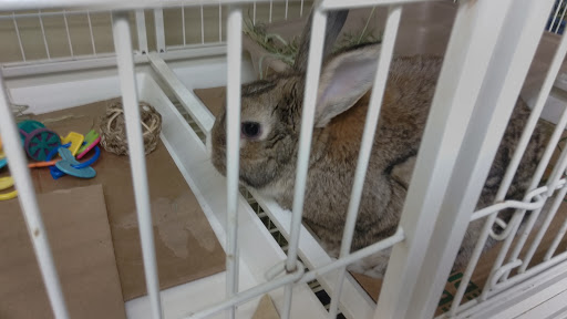 Pet Supply Store «Petco Animal Supplies», reviews and photos, 855 E Bidwell St, Folsom, CA 95630, USA