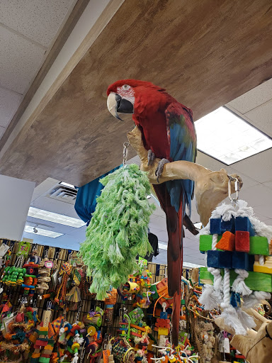 Pet Store «Ark Pet Shop», reviews and photos, 2400 W Lincoln Hwy, Merrillville, IN 46410, USA