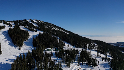 Mount Washington Skiing Alpine Resort