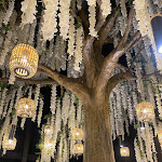 Photo n° 2 de l'avis de Deen.b fait le 13/10/2022 à 09:31 pour Le Nulle Part Ailleurs à Châteauroux