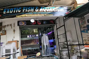 EXOTIC AQUA FISH AND AQUARIUM WHOLESALE & RETAIL SHOP image