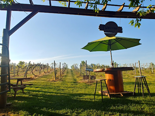 Winery «Wild Mountain Winery», reviews and photos, 16906 Wild Mountain Rd, Taylors Falls, MN 55084, USA