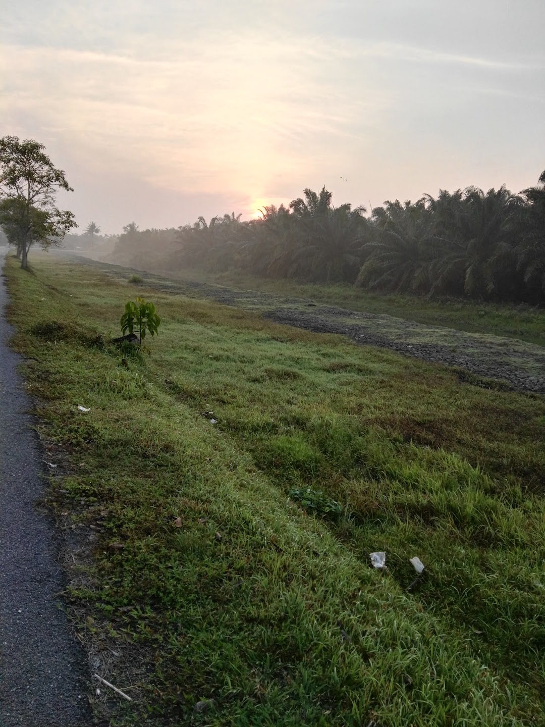 Kho Kooi Leiw