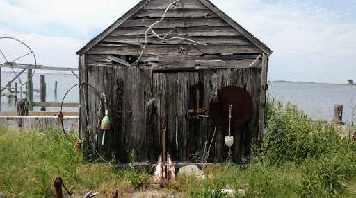 Tourist Attraction «Smith Island Cultural Center», reviews and photos, 20846 Caleb Jones Rd, Ewell, MD 21824, USA