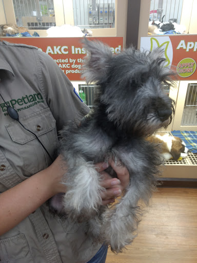 Pet Store «Petland», reviews and photos, 1600 Turner McCall Blvd, Rome, GA 30161, USA