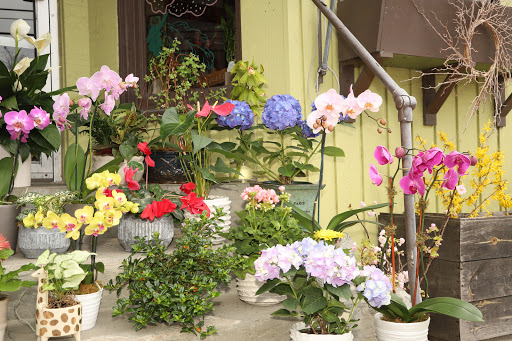 Florist «Fleur De Lis», reviews and photos, 460 Ocean St, South Portland, ME 04106, USA