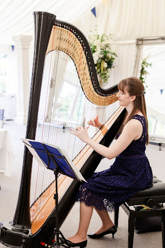 Comments and reviews of Heather Wrighton - Professional Harpist and Harp Teacher, Worthing, West Sussex
