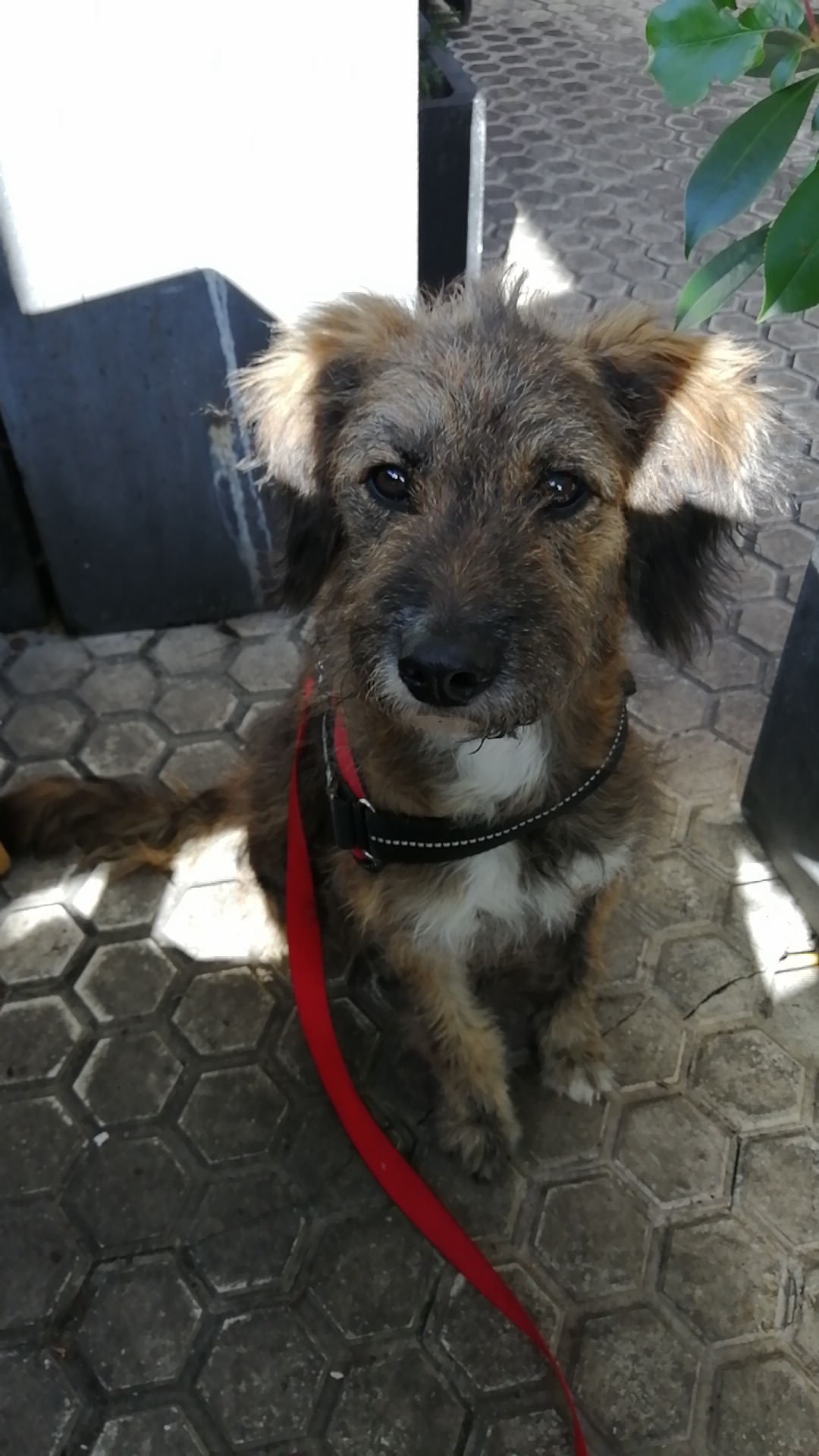 Photo n° 1 de l'avis de Diego.i fait le 13/08/2019 à 16:24