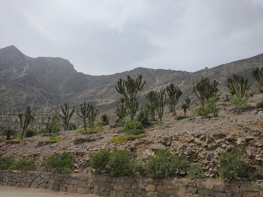 La Molina Ecological Park