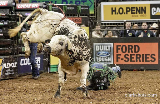 Arena «Madison Square Garden», reviews and photos, 4 Pennsylvania Plaza, New York, NY 10001, USA