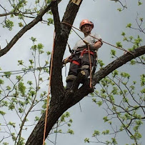 Antietam Tree & Turf - Photo 8 - Car repair in Hagerstown, MD, Hagerstown
