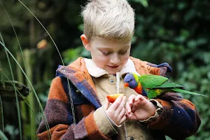 Staglands Wildlife Reserve & Café image