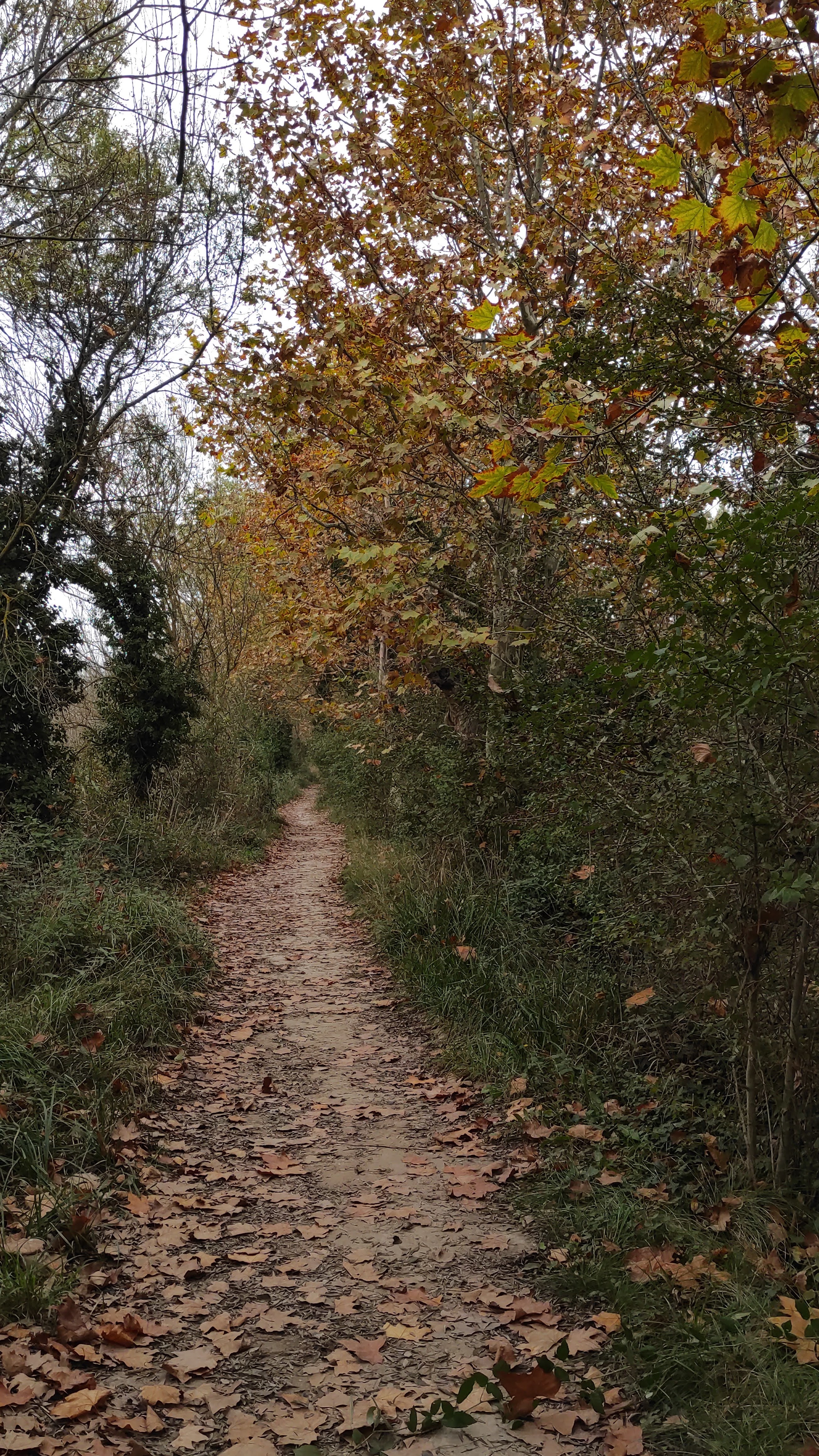 Photo n° 12 de l'avis de barbara.i fait le 31/10/2022 à 11:35