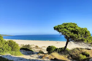 Parque Natural del Estrecho image