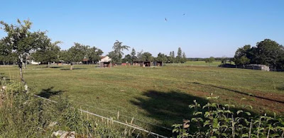 Élevage del Pastre à Vaylats