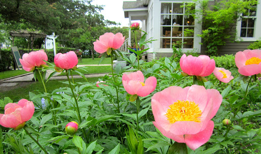 Gift Shop «Squire House Gardens», reviews and photos, 3390 St Croix Trail S, Afton, MN 55001, USA