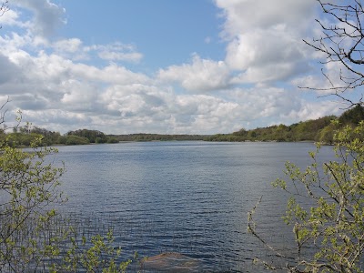 Photos of Dromore Woods trailhead