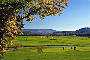 Canaan Valley Resort State Park image