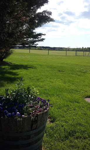 Winery «Channing Daughters Winery», reviews and photos, 1927 Scuttle Hole Rd, Bridgehampton, NY 11932, USA