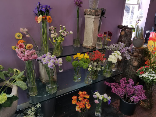 Florist «Ultra Violet Flowers», reviews and photos, 1218 31st St NW, Washington, DC 20007, USA