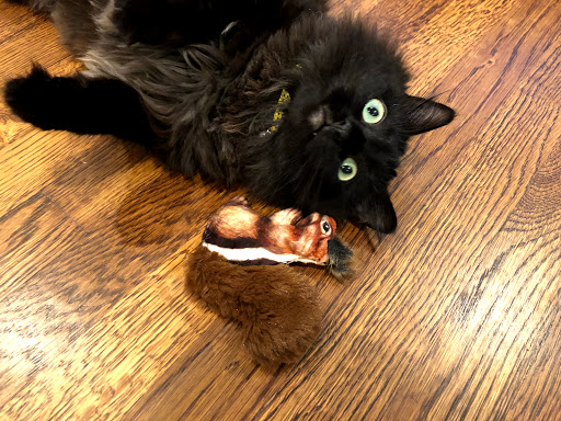 Pet Supply Store «Pet Supermarket», reviews and photos, 3201 Macon Rd #163, Columbus, GA 31906, USA