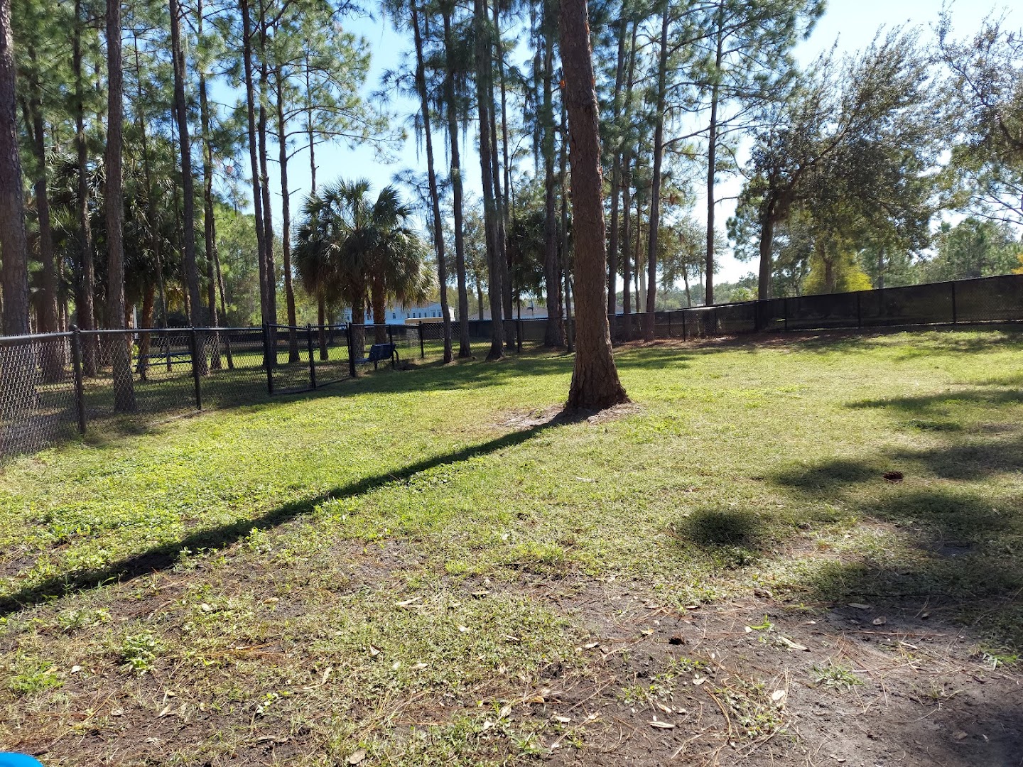 New Tampa Rotary Dog Park