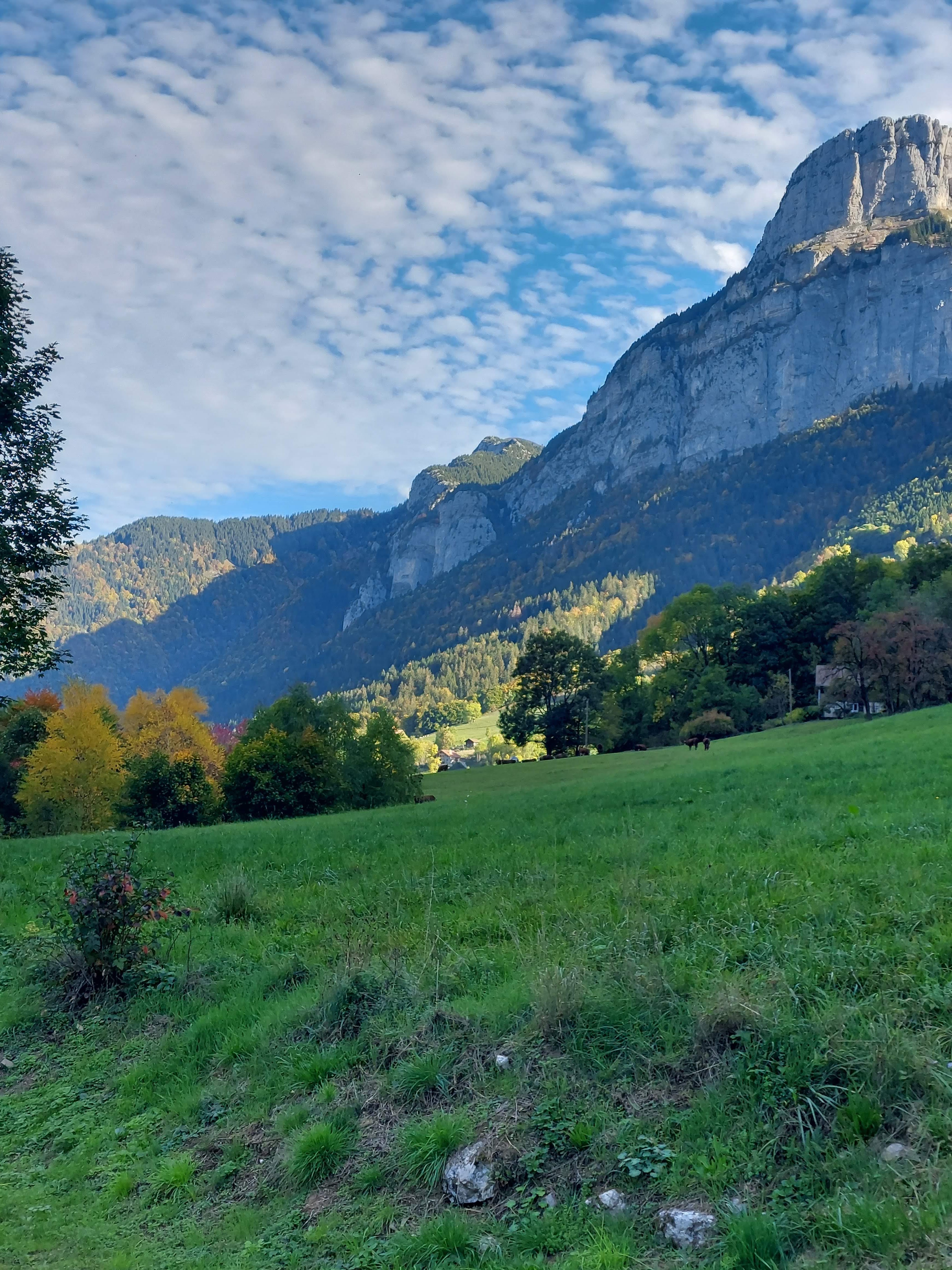 Photo n° 31 de l'avis de Jan.e fait le 21/10/2022 à 15:29