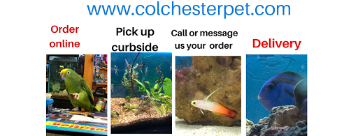 Pet Store «Colchester pet Shop LLC», reviews and photos, 111 Loomis Rd #2a, Colchester, CT 06415, USA