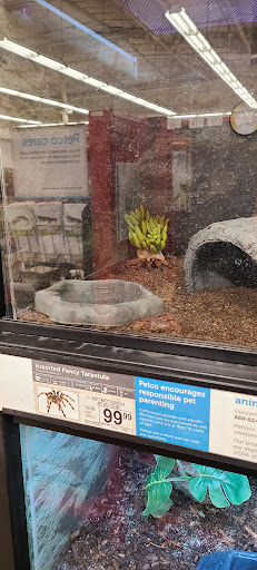 Petco image