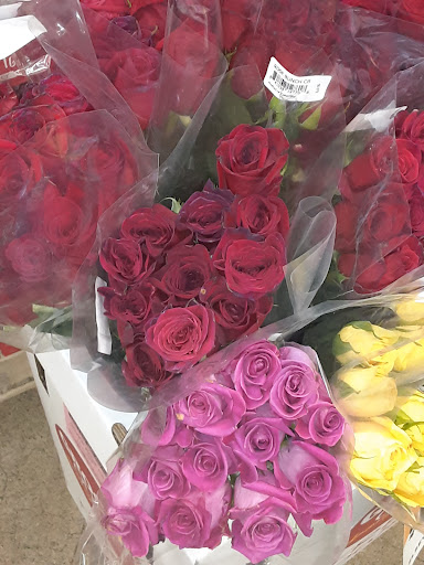 Grocery Store «Grocery Outlet Bargain Market», reviews and photos, 2540 S Santiam Hwy, Lebanon, OR 97355, USA