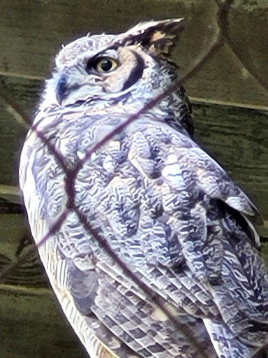 Environmental Organization «VINS Nature Center», reviews and photos, 6565 Woodstock Rd, Quechee, VT 05059, USA