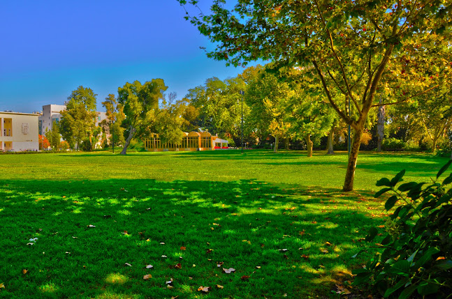 Avaliações doParque Municipal Carlos Hidalgo Gomes de Loureiro em Montijo - Campo de futebol