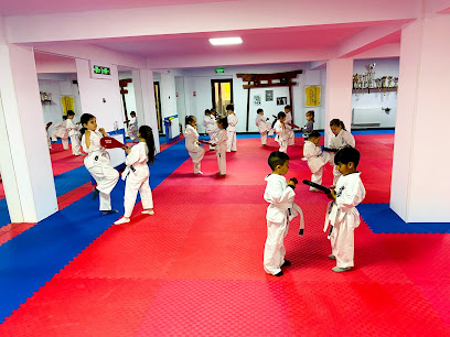 Alpha Fighters Academy