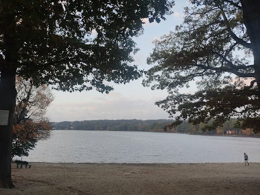 Swimming lake Cambridge