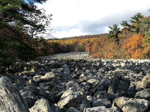Bicycle Store «Brandywine Bikes», reviews and photos, 1812 Marsh Rd, Wilmington, DE 19810, USA