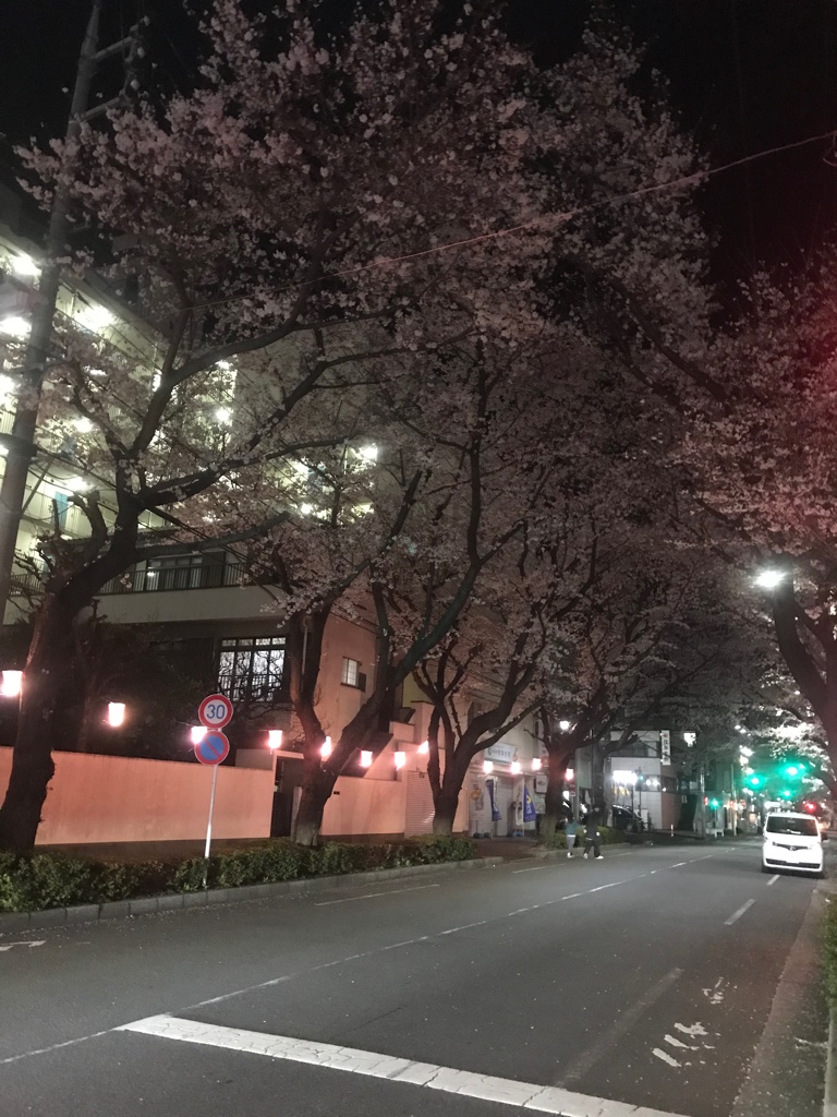 セブン-イレブン 東村山栄町店