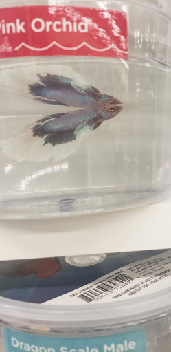 Pet Supply Store «Petco Animal Supplies», reviews and photos, 6025 Kruse Dr #159, Solon, OH 44139, USA