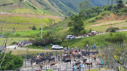 Feria de ganado