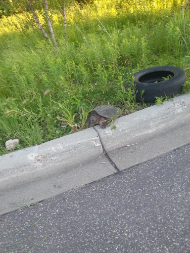 Thrift Store «Goodwill - Maplewood», reviews and photos, 2580 White Bear Ave, Maplewood, MN 55109, USA