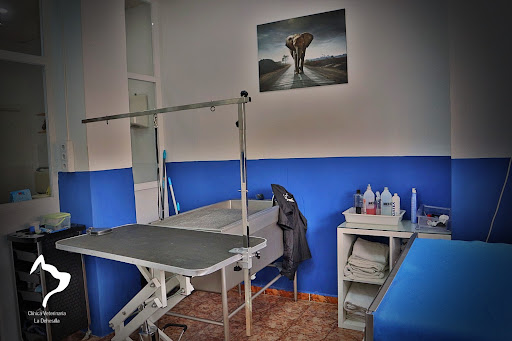 Hospitales y veterinarios de urgencia en Sanlúcar de Barrameda de 2024