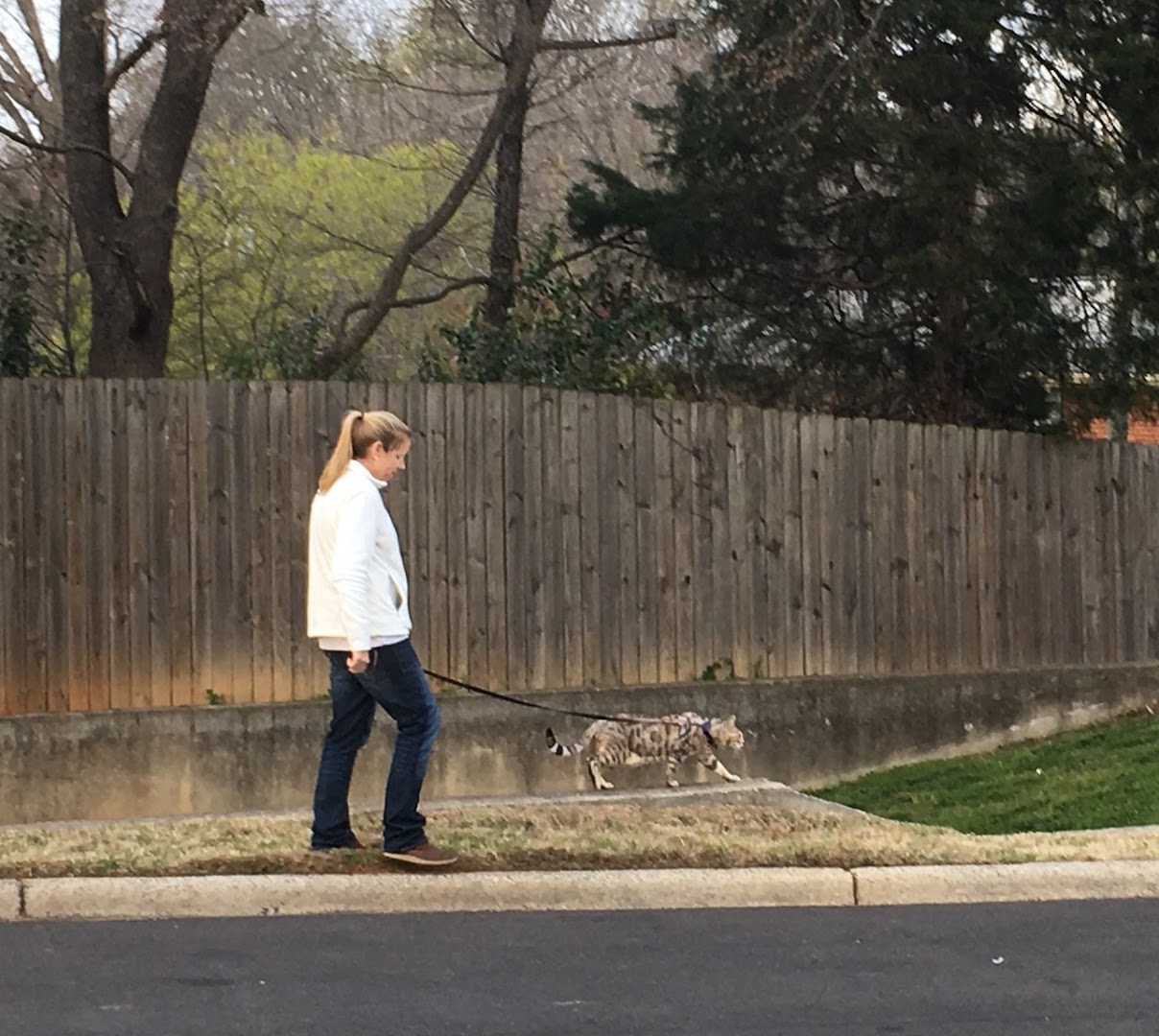 FUR-lough Pet Care